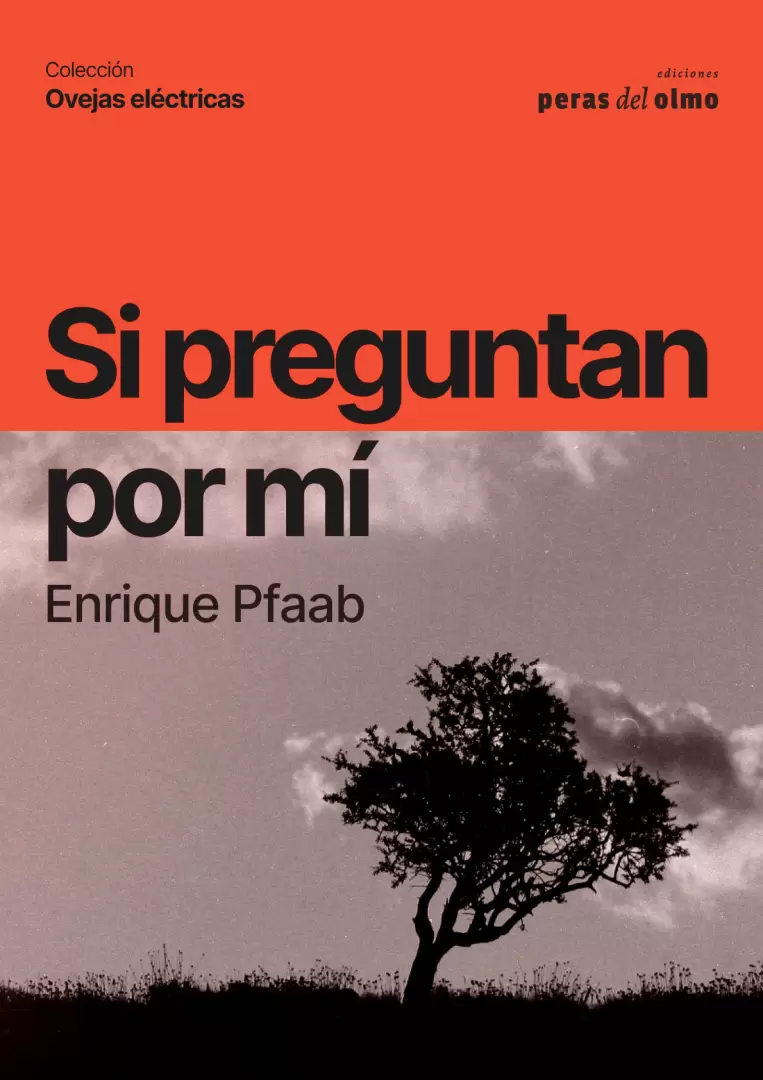 si preguntan por mi ENRIQUE PFAAB