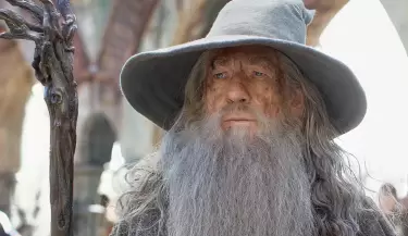 gandalf - ian mckellen