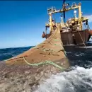 Pol�mica por millonaria pesca de la merluza negra en el sur