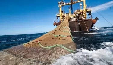 merluza negra