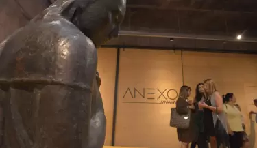 anexo mmamm