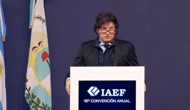 iaef mendoza milei