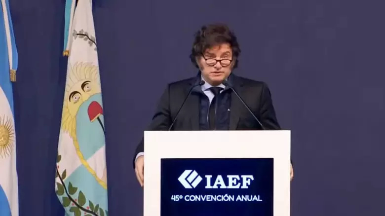 iaef mendoza milei