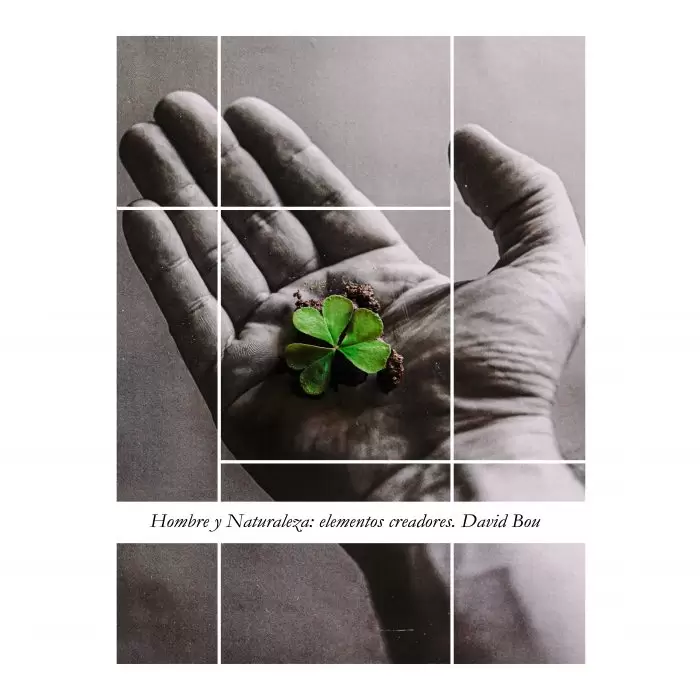 foto-icono-muestra-david-bou-700x700