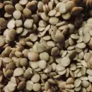 C�mo crear un fertilizante a base de lentejas para fertilizar �rboles frutales
