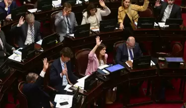 senado