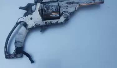 arma de fuego