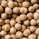 El ins�lito truco casero para sembrar garbanzos en el huerto del jard�n de tu casa