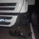Otra vez un animal fue protagonista de un importante accidente en la ruta 7