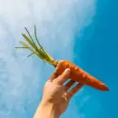 Descubre los beneficios de usar c�scaras de zanahoria c�mo abono para las plantas de tu jard�n