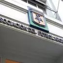 La AFA planea el regreso de una Selecci�n Argentina con jugadores del medio local