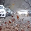 Contin�a la alerta amarilla por viento Zonda que afectar� gran parte de Mendoza