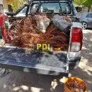 La Polic�a desbarat� en Guaymall�n un centro clandestino de acopio ilegal de cobre