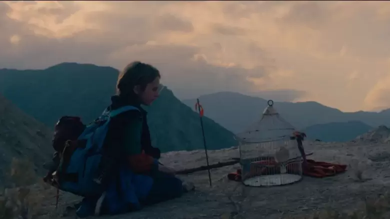 bafici 6
