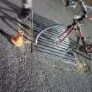 Tragedia en Rivadavia: un hombre cay� de su bicicleta y perdi� la vida