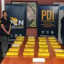 Narcotr�fico: 26 kilos de coca�na secuestrada y 9 detenidos