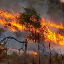 Un hombre provoc� un incendio forestal en C�rdoba y recibi� una condena