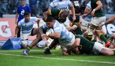 pumas