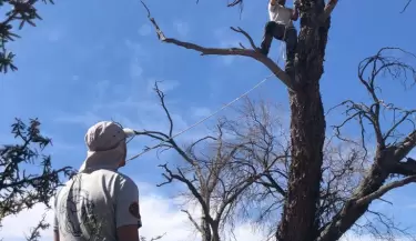 Instalaci�n de c�maras en Nidos de �guila en Mendoza