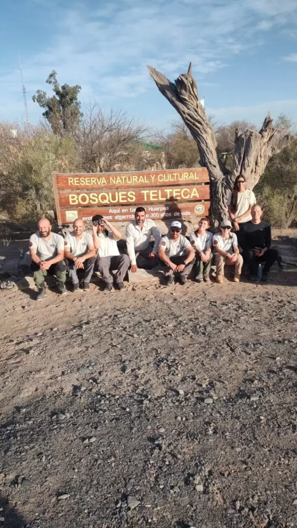 Instalaci�n de c�maras en Nidos de �guila en Mendoza
