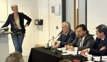 cornejo mineria1