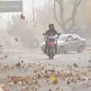 Mendoza bajo alerta amarilla por viento Zonda