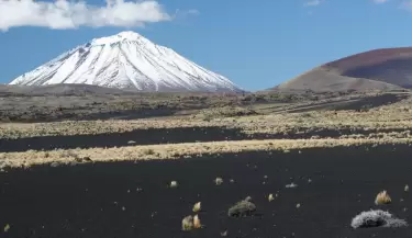 LA PAYUNIA