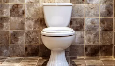 inodoro