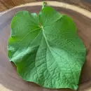 Estos son los desconocidos beneficios de consumir hoja santa para tu salud
