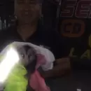 Una zarig�eya bloque� la entrada de un edificio en pleno microcentro mendocino
