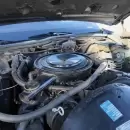 Compr� el auto de una anciana y realiz� un descubrimiento inesperado en el ba�l