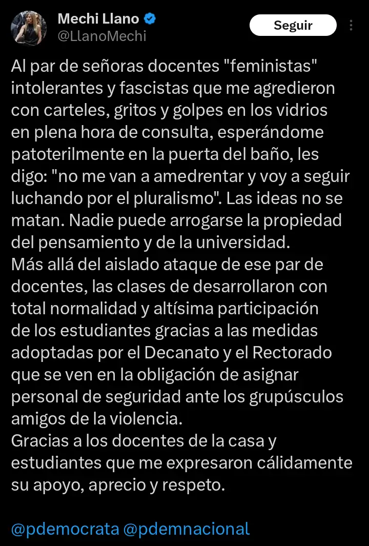 Mercedes llano uncuyo