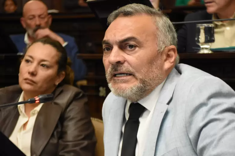 senado mendoza 2024 2
