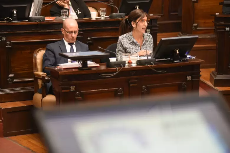 senado mendoza 2024 1