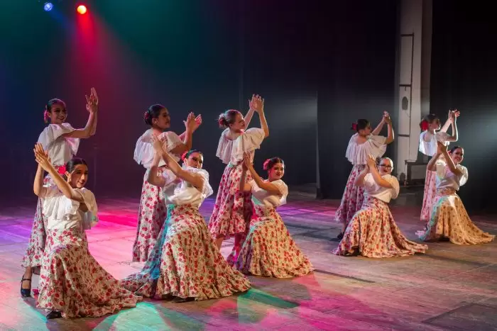 somos danza