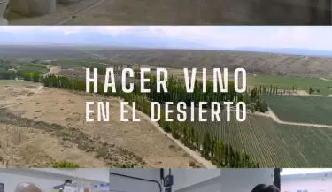 hacer vino en el desierto