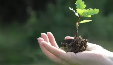Laboratorio Herbolario: Innovaci�n Verde para el Cuidado Personal