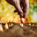 Llegan las 3ras Jornadas de Educaci�n Ambiental y Feria de Intercambio de Saberes, Semillas y Plantas