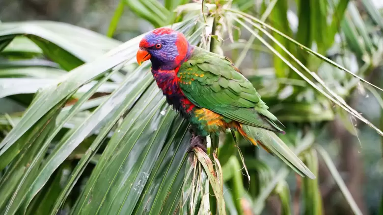 biodiversidad
