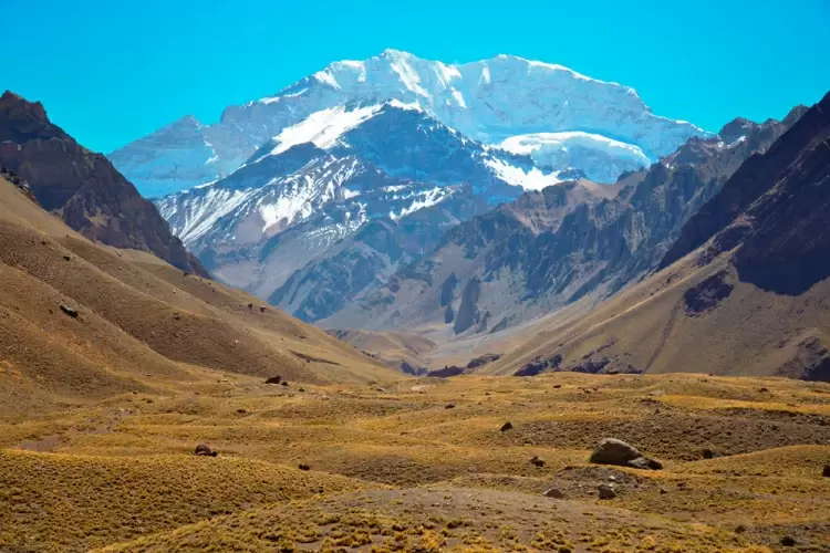 montana mendocina