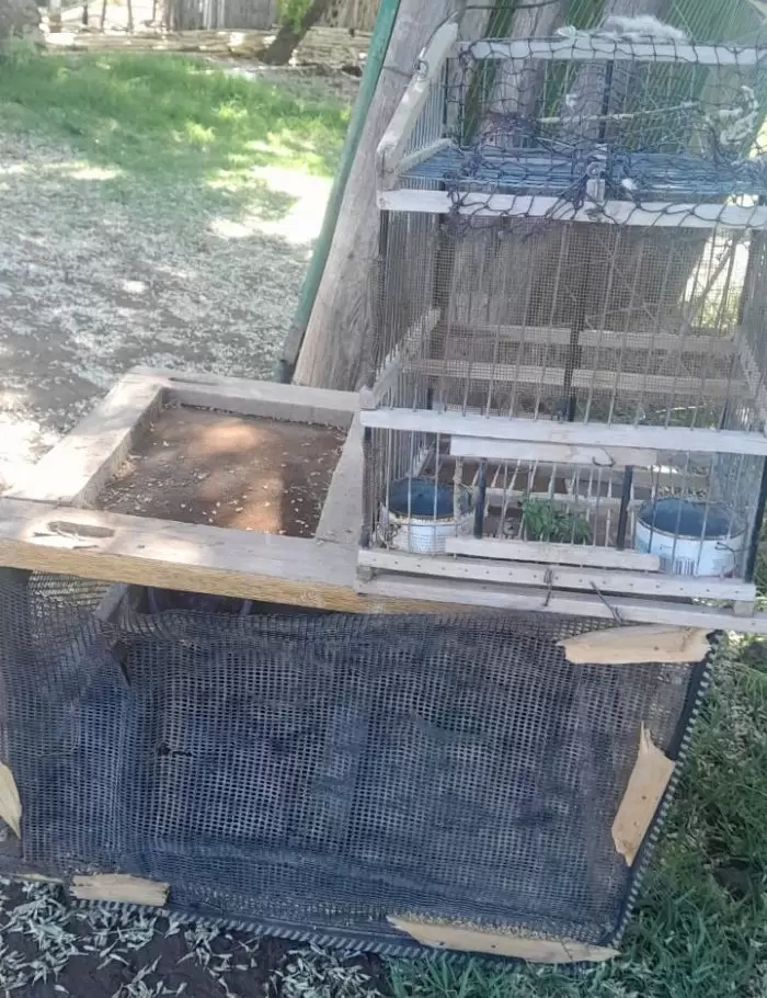 aves rescatadas alvear