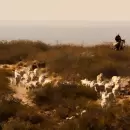 (Video) Desesperado pedido de puesteros del Valle de Uco por la venta de tierras