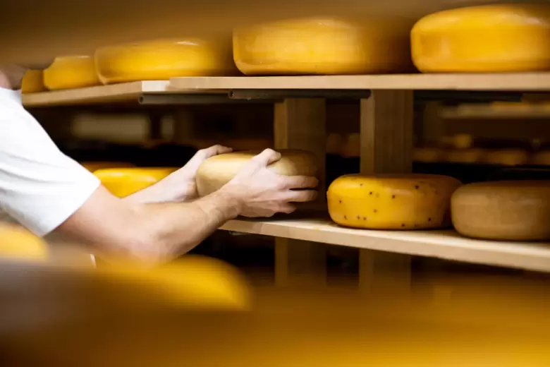 QUESO