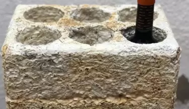 biocajas de vino