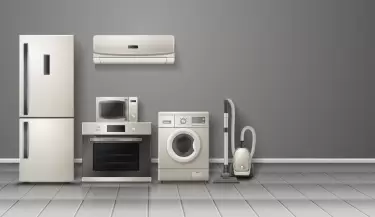 domesticos