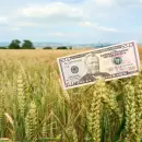 En solo siete meses, las empresas de alimentos incrementaron sus ganancias en un 1.300%