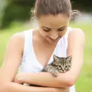 1 de cada 5 adultos es alérgico a los gatos: cómo reducir los síntomas
