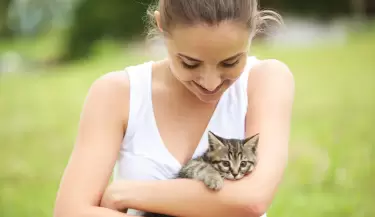 29 de octubre DIA INTERNACIONAL DEL GATO