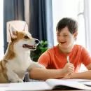 Perros m�s inteligentes: C�mo la vida urbana est� impulsando la evoluci�n de nuestras mascotas