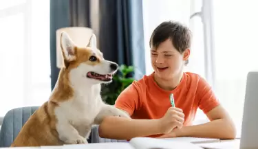 Perros m�s inteligentes